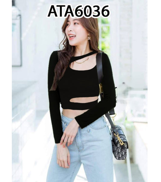 အပျော့သားလက်ရှည်