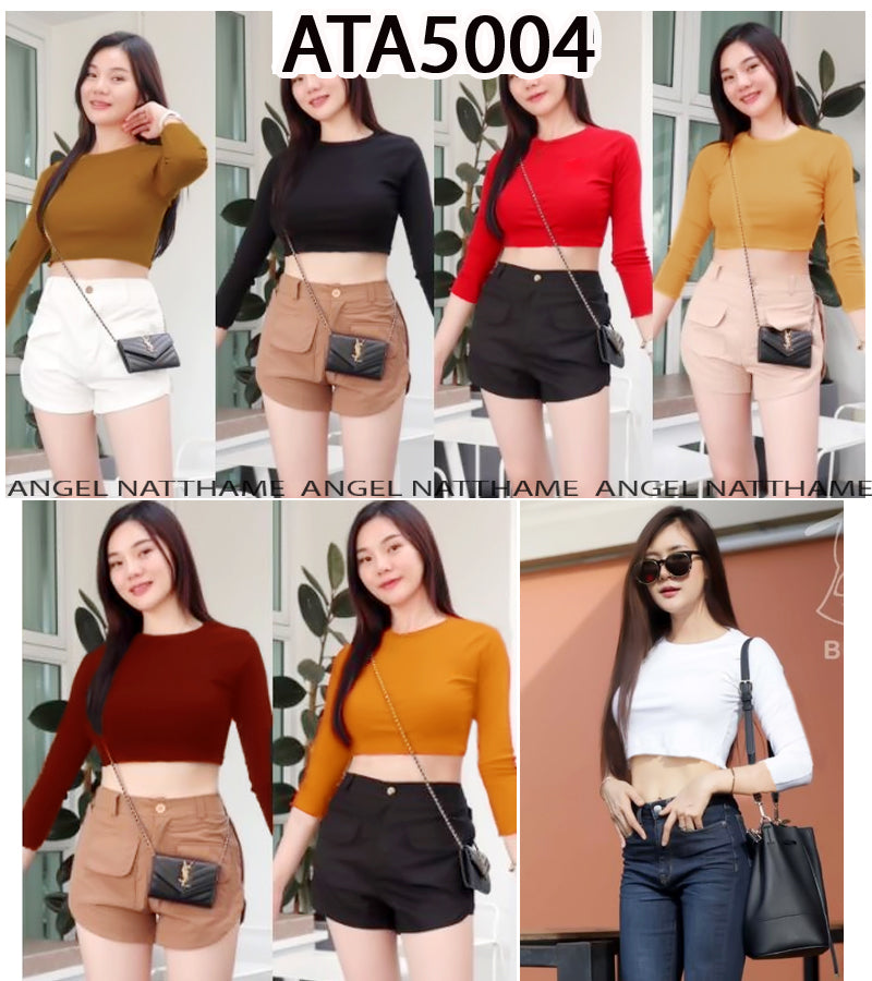 အပျော့သားလက်ရှည်