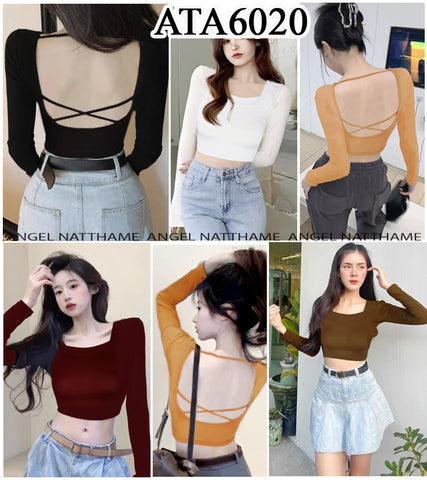 အပျော့သားလက်ရှည်