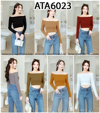 အပျော့သားလက်ရှည်