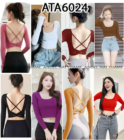 အပျော့သားလက်ရှည်