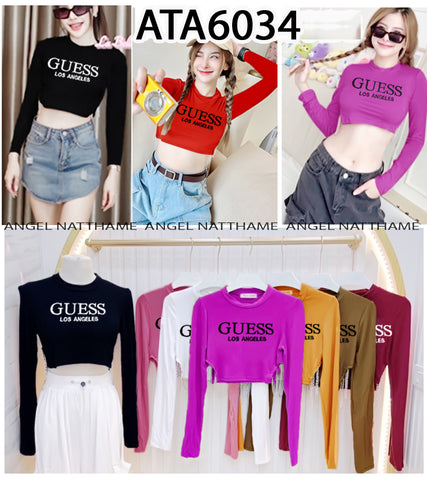 အပျော့သားလက်ရှည်