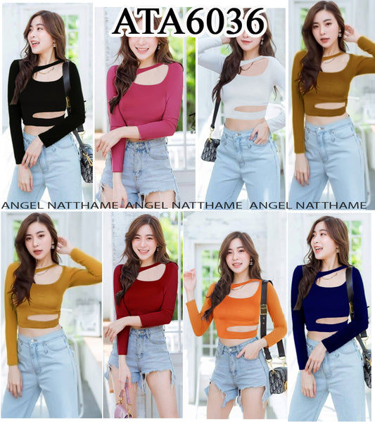 အပျော့သားလက်ရှည်