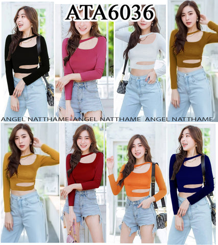 အပျော့သားလက်ရှည်