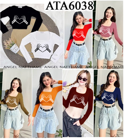 အပျော့သားလက်ရှည်