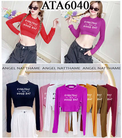 အပျော့သားလက်ရှည်