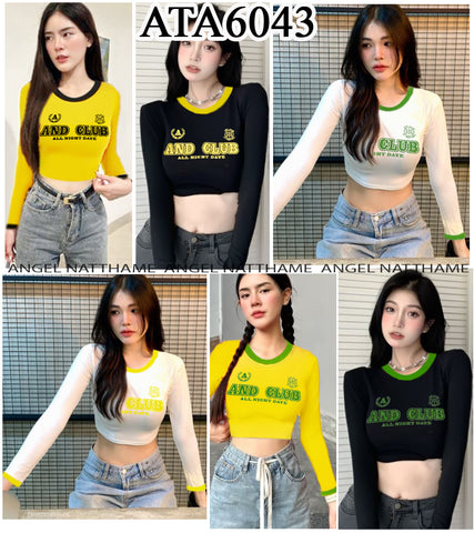 အပျော့သားလက်ရှည်