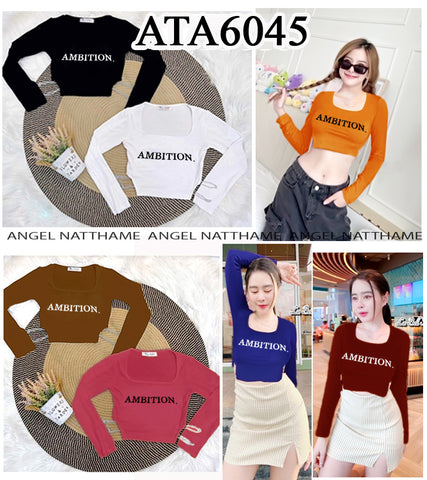 အပျော့သားလက်ရှည်