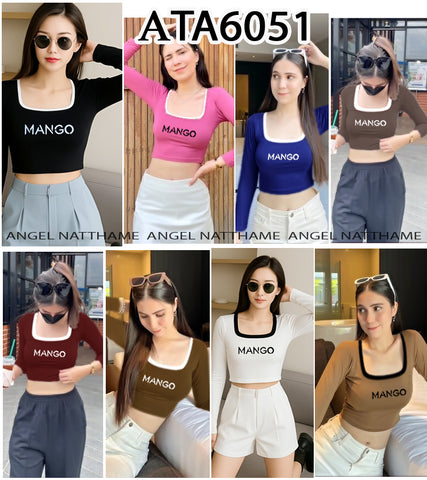 အပျော့သားလက်ရှည်