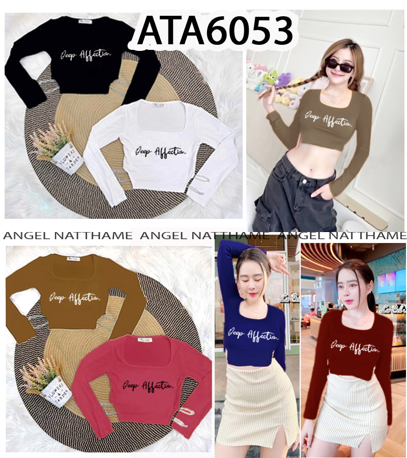 အပျော့သားလက်ရှည်