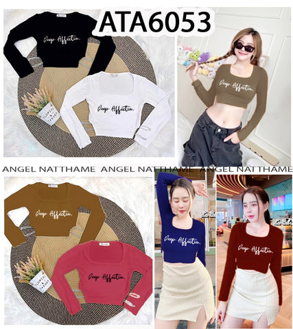 အပျော့သားလက်ရှည်