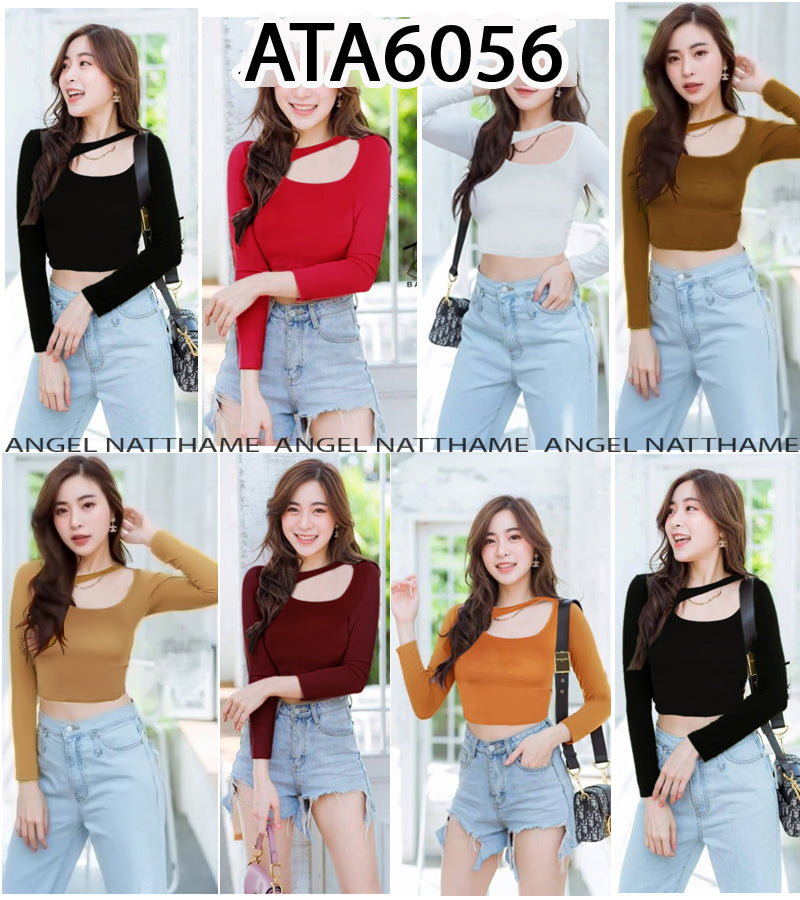 အပျော့သားလက်ရှည်