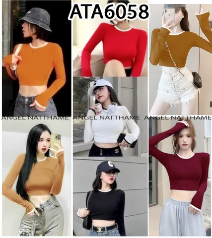 အပျော့သားလက်ရှည်