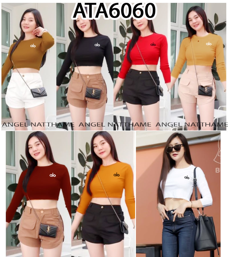 အပျော့သားလက်ရှည်