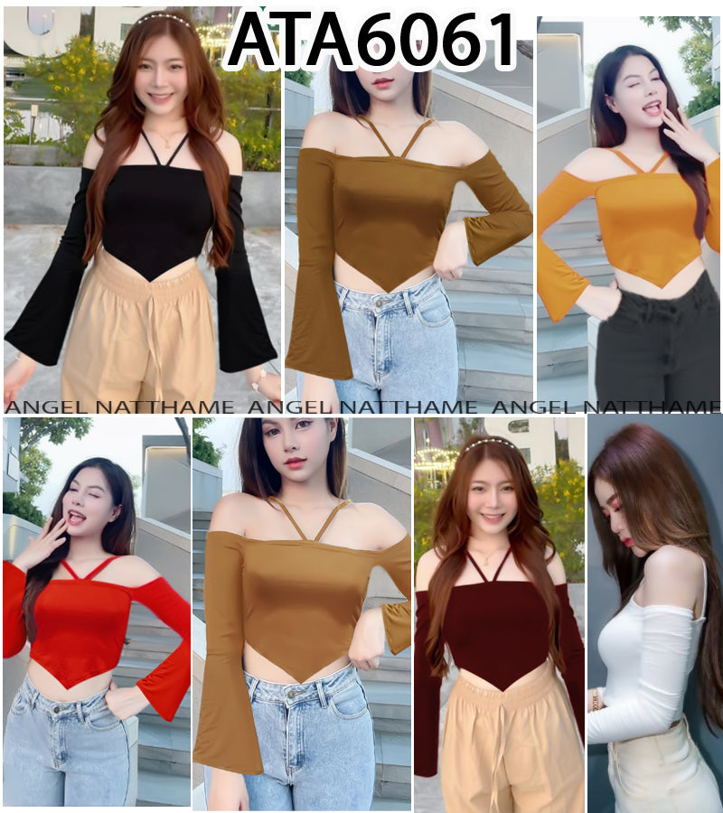 အပျော့သားလက်ရှည်