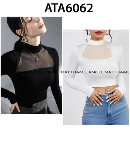 အပျော့သားလက်ရှည်