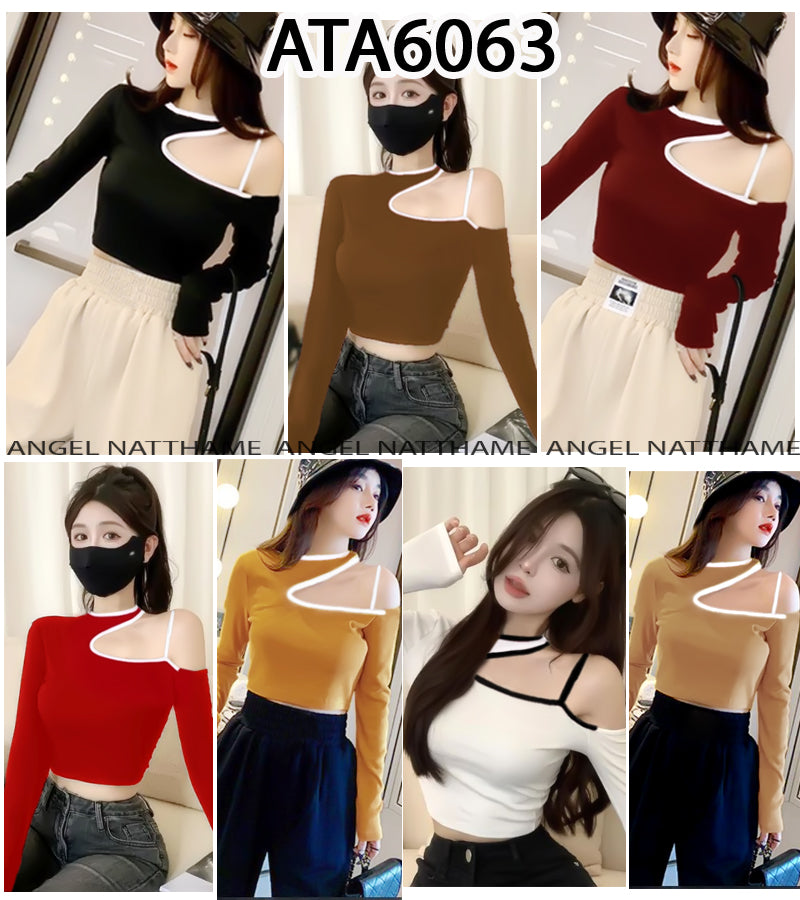 အပျော့သားလက်ရှည်