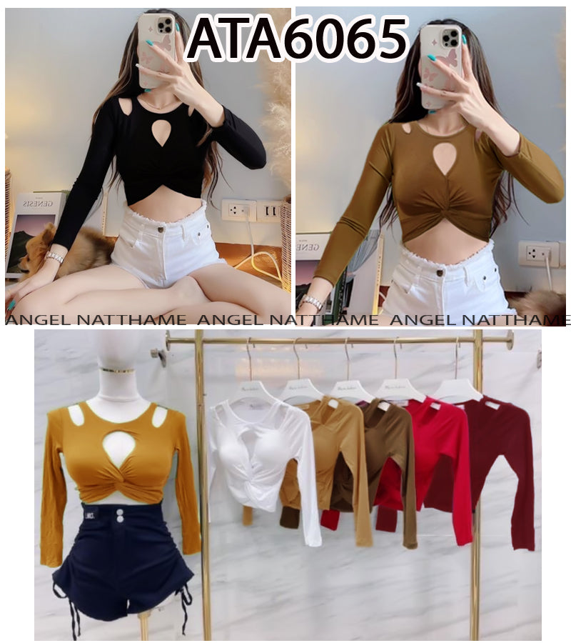 အပျော့သားလက်ရှည်