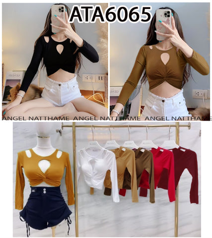 အပျော့သားလက်ရှည်