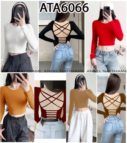 အပျော့သားလက်ရှည်