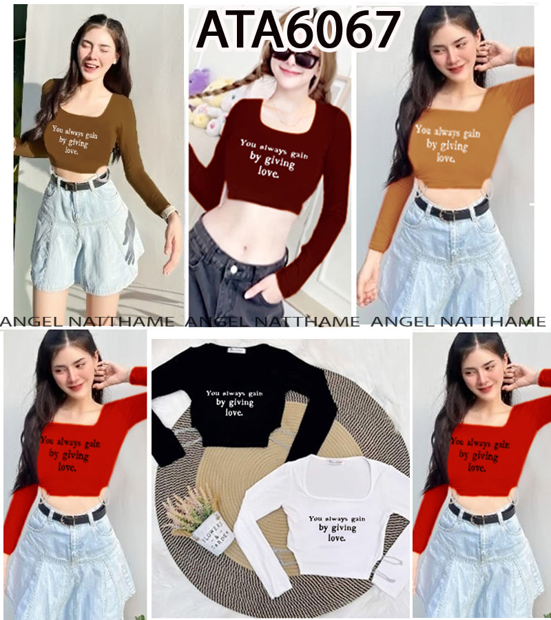 အပျော့သားလက်ရှည်