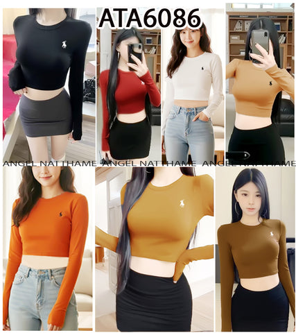 အပျော့သားလက်ရှည်