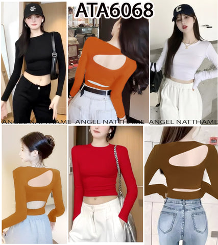 အပျော့သားလက်ရှည်