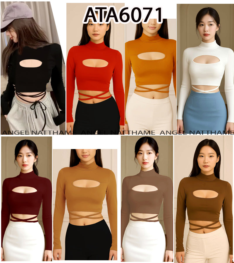 အပျော့သားလက်ရှည်