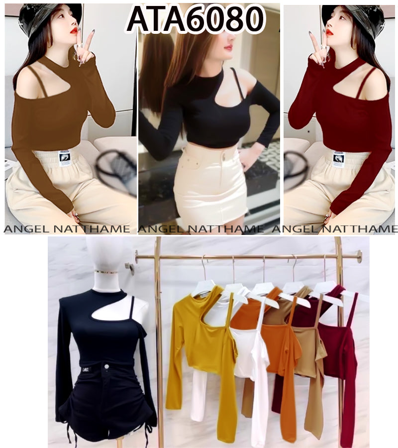 အပျော့သားလက်ရှည်