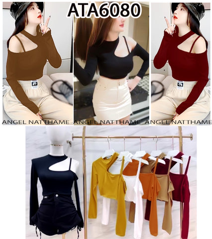 အပျော့သားလက်ရှည်