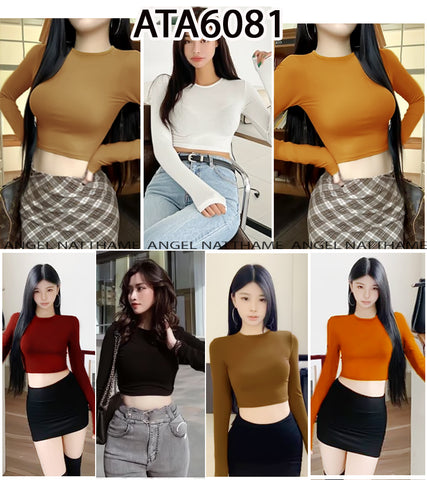 အပျော့သားလက်ရှည်