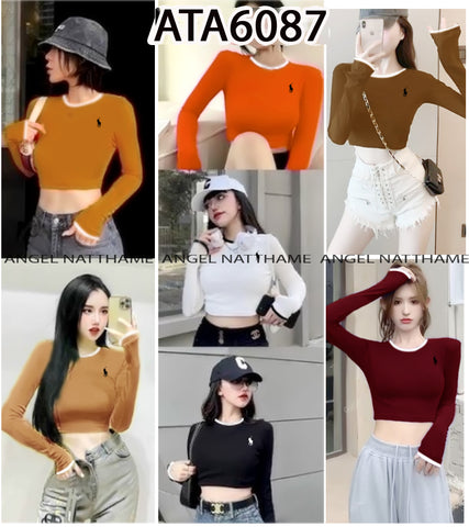 အပျော့သားလက်ရှည်