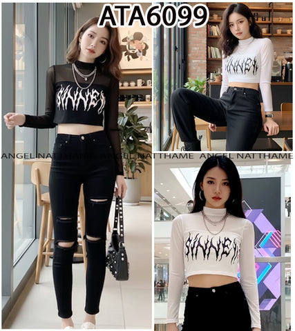 အပျော့သားလက်ရှည်