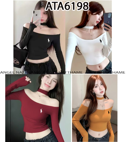 အပျော့သားလက်ရှည်