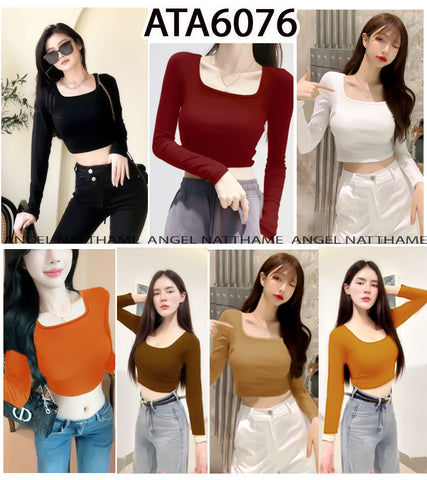 အပျော့သားလက်ရှည်