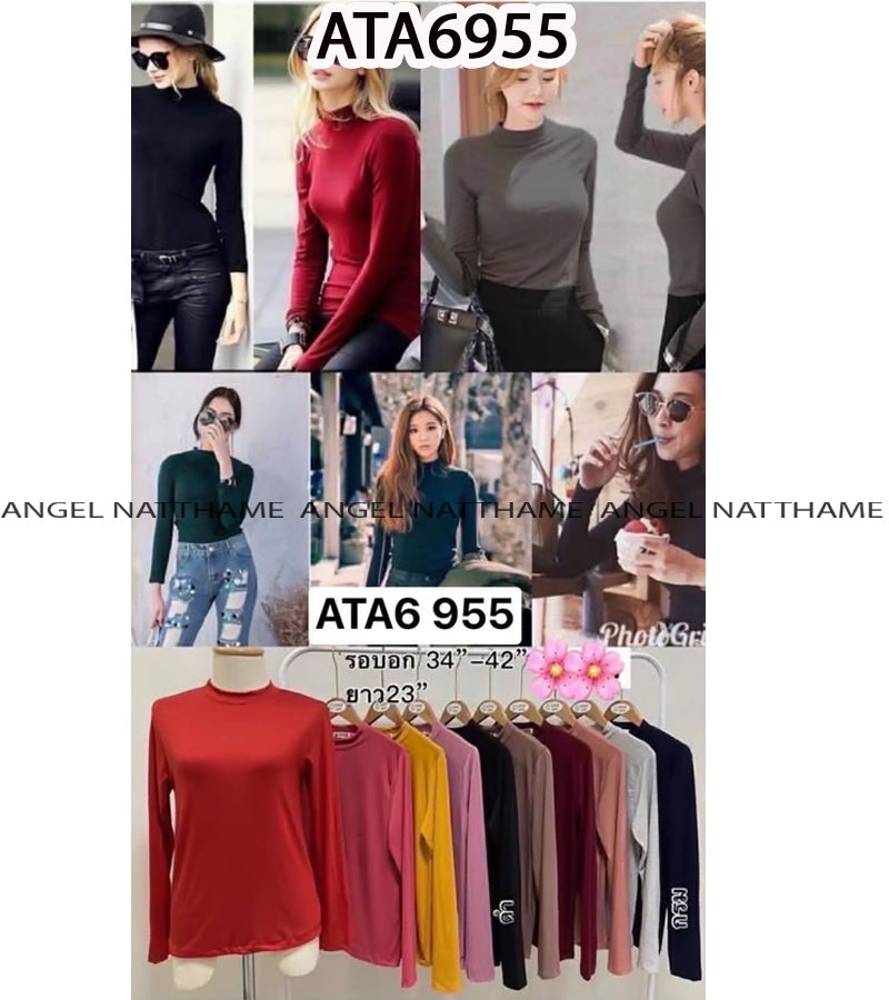 အပျော့သားလက်ရှည်