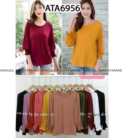 အပျော့သားလက်ရှည်