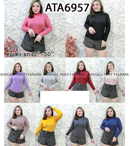 အပျော့သားလက်ရှည်