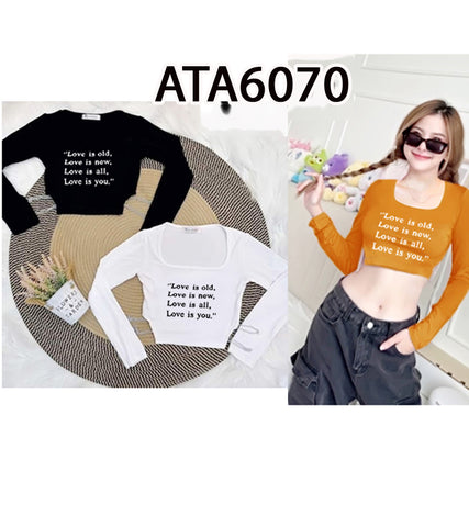 အပျော့သားလက်ရှည်